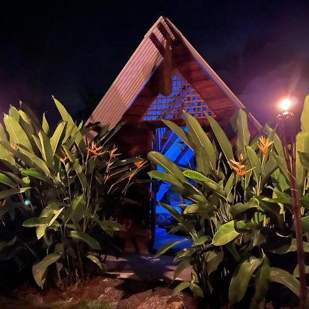 Bewak Cr Hotell Tortuguero Eksteriør bilde
