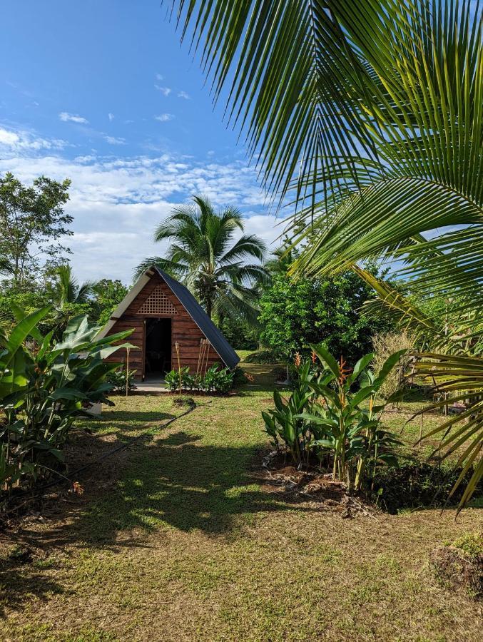 Bewak Cr Hotell Tortuguero Eksteriør bilde