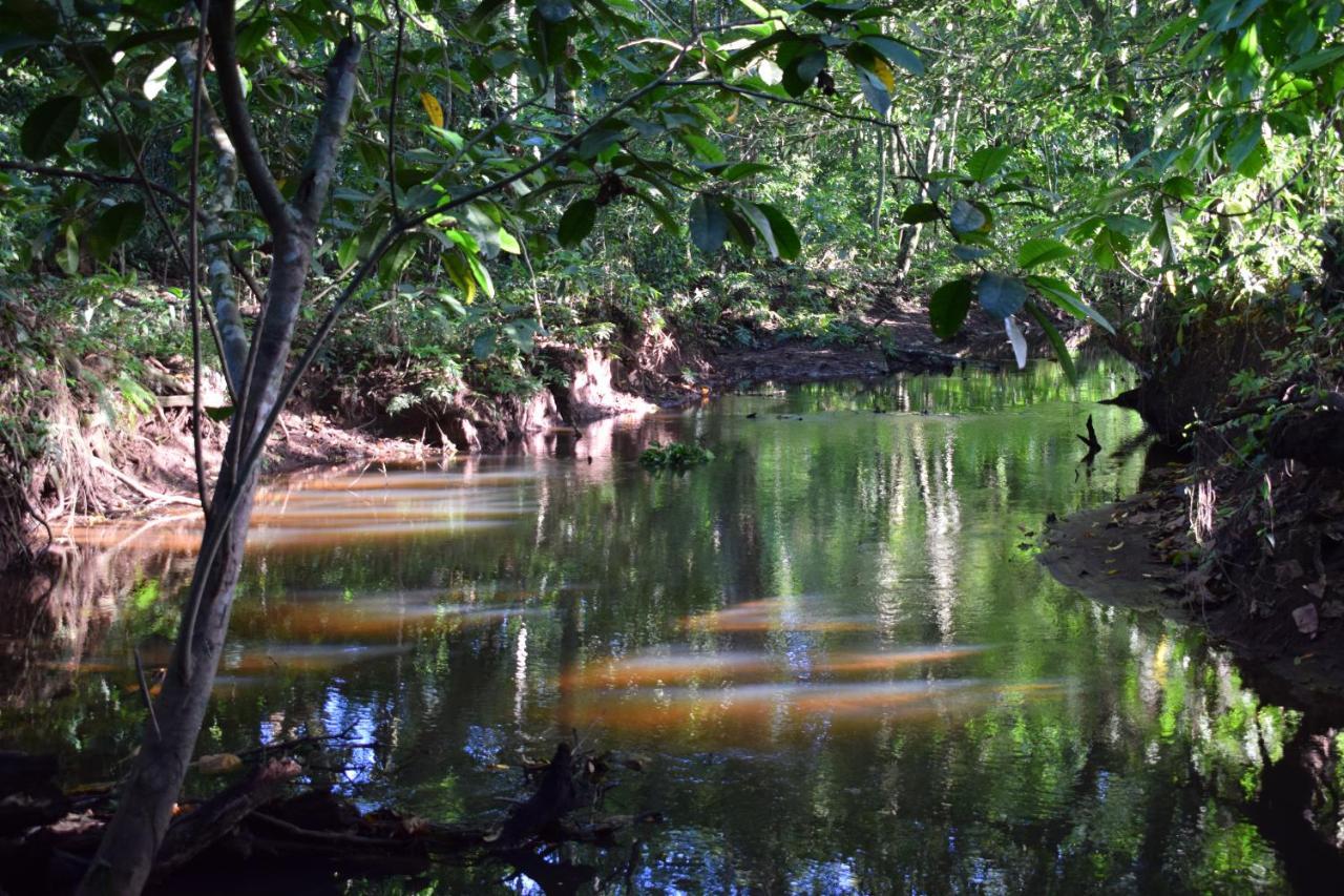 Bewak Cr Hotell Tortuguero Eksteriør bilde