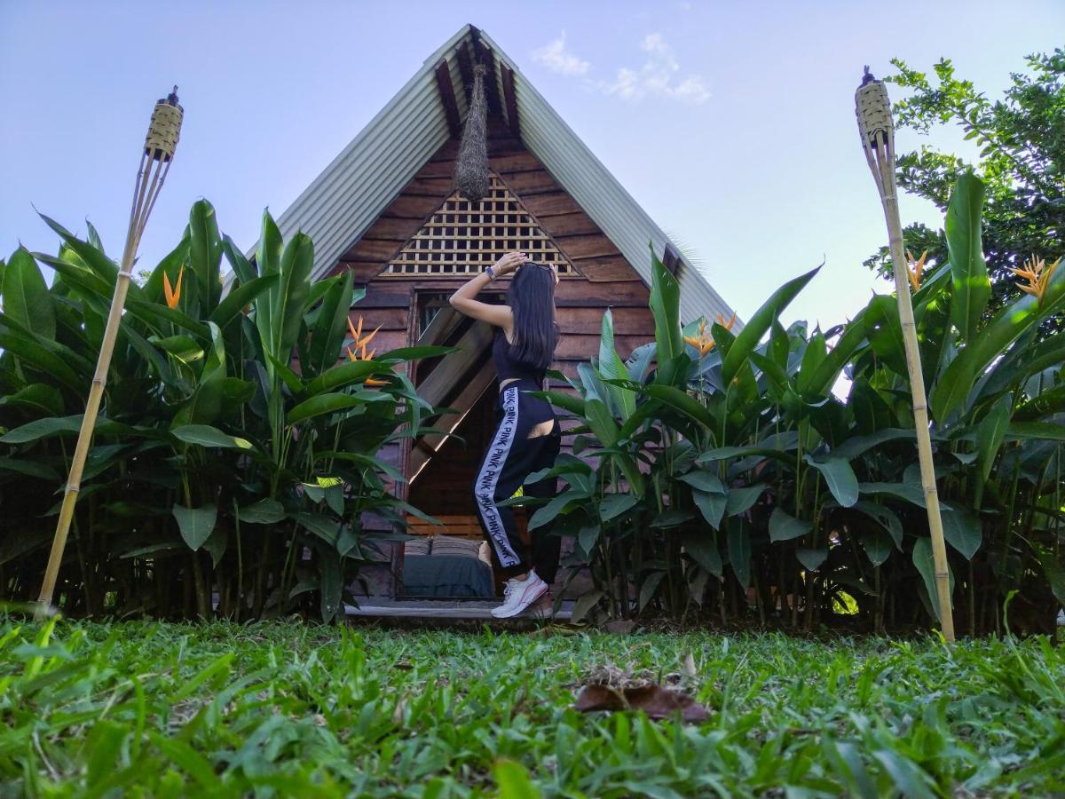 Bewak Cr Hotell Tortuguero Eksteriør bilde
