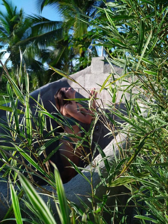 Bewak Cr Hotell Tortuguero Eksteriør bilde