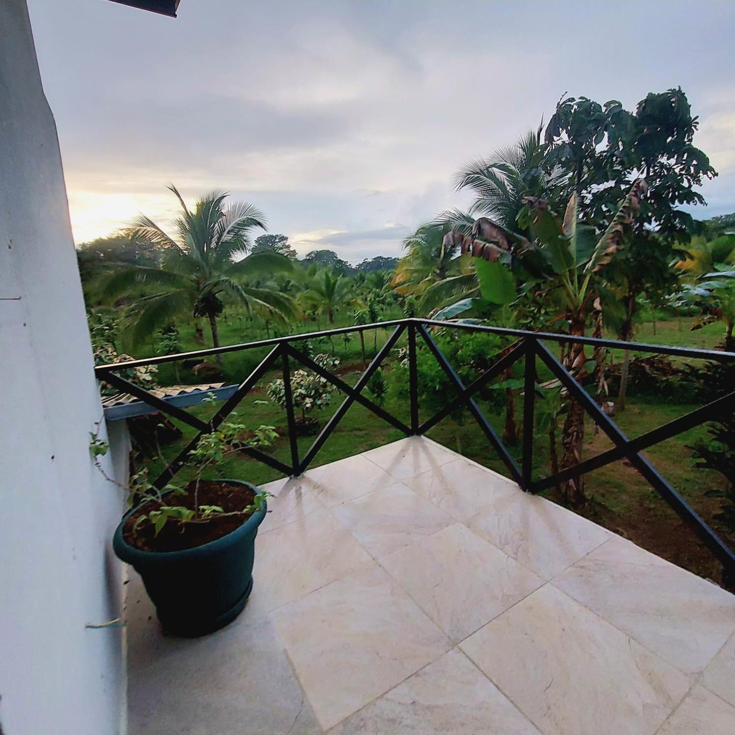 Bewak Cr Hotell Tortuguero Eksteriør bilde