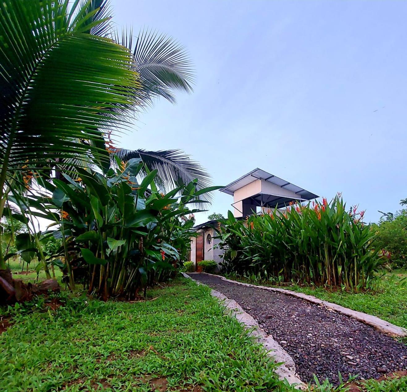Bewak Cr Hotell Tortuguero Eksteriør bilde