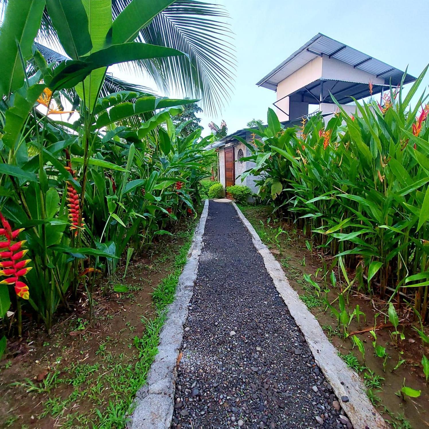 Bewak Cr Hotell Tortuguero Eksteriør bilde
